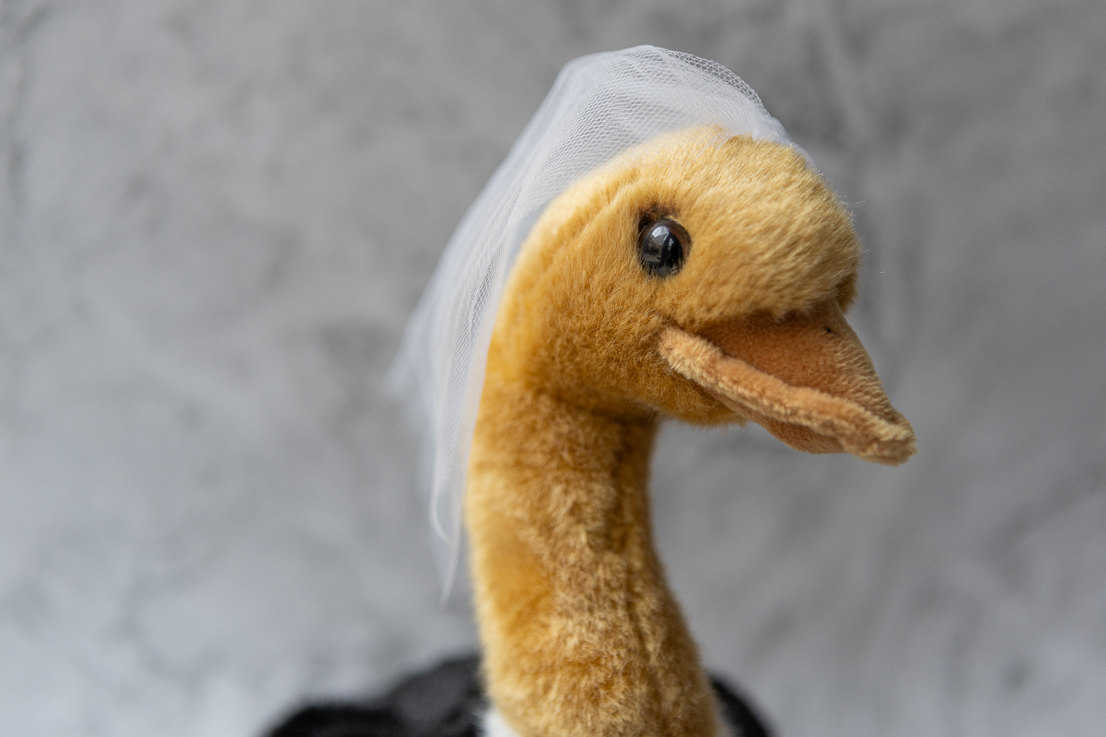 Vogel - Brautstrauß – Bild 3