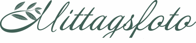 logo_neu_blätter_ohne satz Logo von Mittagsfoto fotografin aus Radeberg für dresden und umgebung
